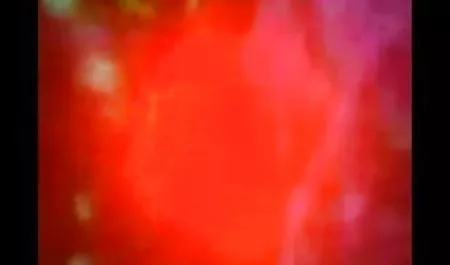 एक औरत के साथ मीठी चुदाई जो लंड चूसना पसंद करती है। उसे रोटी मत हिंदी में सेक्सी पिक्चर दिखाइए खिलाओ, बस एक समूह सेक्स में भाग लो जिसमें वह रानी और blowjob होगा