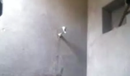 जर्मन गृहिणी खुद को हिंदी पिक्चर सेक्सी मूवी एक वास्तविक फिल्म स्टार होने की कल्पना करती है और पूरी दुनिया को यह साबित करने का इरादा रखती है कि वह वास्तव में उन सुंदरियों से ज्यादा बदतर नहीं है जिन्हें अपनी भूमिकाओं के लिए लाखों डॉलर मिलते हैं।