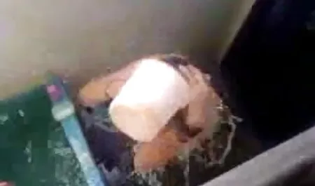 कामुक Filipina बकवास करने के लिए प्यार करता है वीडियो में सेक्सी पिक्चर वीडियो में