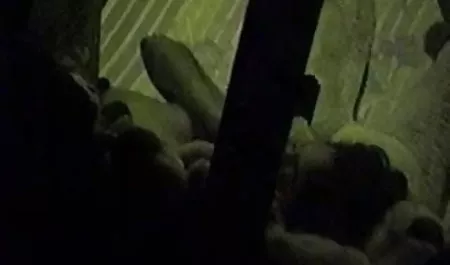 एक लंबी पारदर्शी सेक्सी हिंदी फीचर फिल्म डिल्डो के साथ विशाल योनि में युगल और एक अतृप्त चूत को संतुष्ट करते हैं