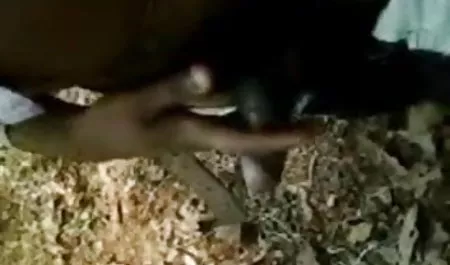 युवा लैटिना एक सेक्सी पिक्चर इन हिंदी डिक की सवारी करता है