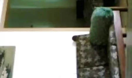 डायना सेक्सी पिक्चर वीडियो सेक्सी वीडियो मेज पर चालाकी से नाच रही है