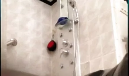 पति अपनी पत्नी सेक्सी पिक्चर फिल्म हिंदी की चूत को चाटता हुआ एक दोस्त देखता है