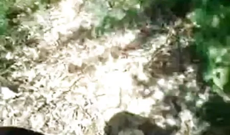 दिलचस्प युवा सेक्सी पिक्चर वीडियो चाहिए लोग सुबह के समय सेक्स करते हैं।