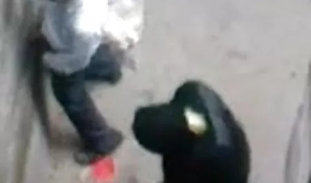 परिपक्व क्रूर आदमी हिंदी पिक्चर सेक्सी हिंदी पिक्चर एक युवा fucks