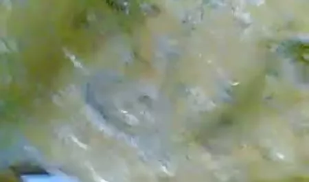 सुंदर सेक्स पिक्चर मूवी सेक्स लैटिना युगल बकवास