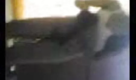 देहाती फिल्म सेक्सी हिंदी पिक्चर कुतिया उसके वासनापूर्ण मुंह के साथ वसा मुर्गा बेकार है