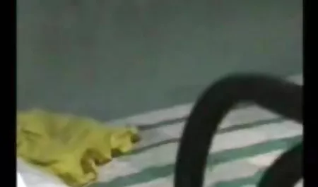 बेबी अपने डिल्डो पिक्चर फिल्म वीडियो सेक्सी से चूत में घुसी