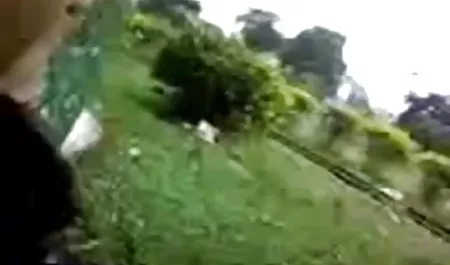 यार एक बालों वाली गीली बिल्ली हिंदी फिल्म सेक्सी पिक्चर