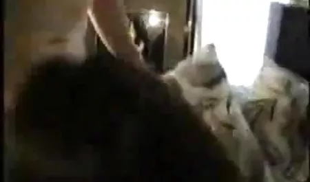 दोस्त ने एक जापानी लड़की को चमड़े बॉलीवुड सेक्सी पिक्चर के सोफे पर छापा