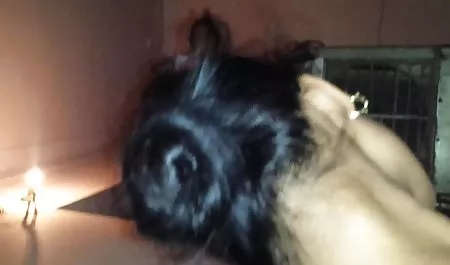 रिहर्सल में सुंदर गोरा इंग्लिश पिक्चर दिखाइए सेक्सी नृत्य स्ट्रिपटीज़