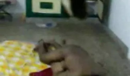 बीडीएसएम गैंगबैंग युवा perverts सेक्सी पिक्चर दिखाइए वीडियो में सेक्सी