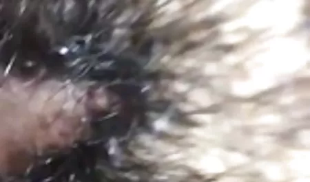 परिपक्व सौतेली माँ सेक्सी पिक्चर सेक्सी सेक्सी ने एक समलैंगिक की मालिश करने के लिए एक सेक्सी सौतेली बेटी को लाया