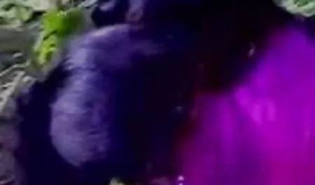 इस सत्र में मसूरी संता क्लॉज़ के साथ बहुत ही ग्लैमरस छोटी सी बात ब्लू पिक्चर ब्लू पिक्चर हिंदी में