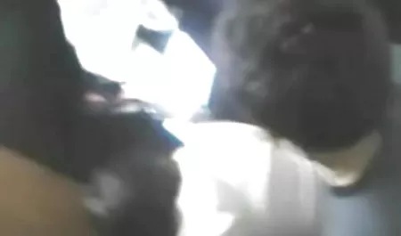 उसने एक वैश्या ली जिसने मुझे बहुत अच्छी तरह से चोदा वीडियो सेक्सी पिक्चर वीडियो सेक्सी पिक्चर