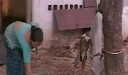 समलैंगिकों उनके सुंदर चेहरे पर सेक्स वीडियो पिक्चर फिल्म सह मिलता है