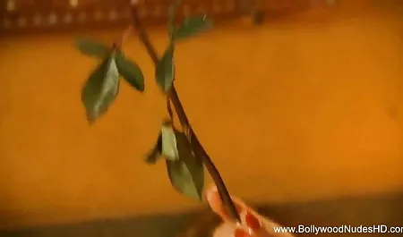 गर्म गधे संगीत को हिंदी पिक्चर सेक्सी वीडियो हिला देते हैं