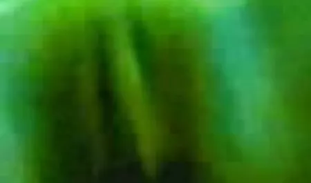 सार्वजनिक पार्क सेक्सी पिक्चर फिल्म हिंदी में में हॉट जर्मन चुदाई