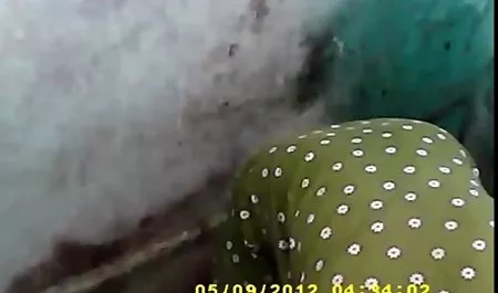 दो सेक्सी सुंदरियाँ और एक डिक सेक्सी ब्लू हिंदी