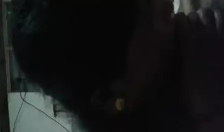 पंक लड़की एक पोर्न फिल्म में कास्टिंग के लिए आई थी सेक्सी सेक्सी पिक्चर हिंदी में