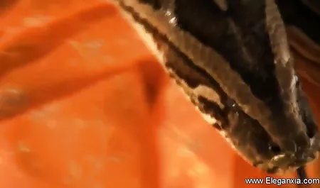 तीन युवा सेक्सी समलैंगिकों सेक्सी फिल्म पिक्चर वीडियो में एक मालिश की मेज पर सहलाते हैं