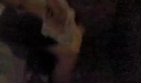 लिबर्टिन एबी क्रॉस सेक्सी पिक्चर दिखाइए वीडियो में सेक्सी खिलौनों के साथ खेलता है