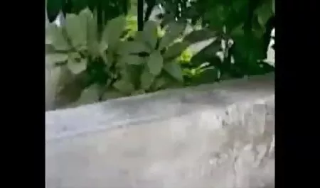 ब्लाइंडफोल्ड प्यारी ने डिक को चूसा हिंदी पिक्चर फिल्म सेक्सी हिंदी में