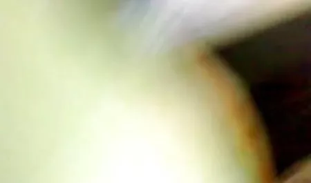 लड़कियों को पोर्न फिल्मों में शूट करने सेक्सी वीडियो पिक्चर दिखाइए के लिए कास्टिंग करना