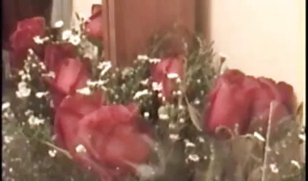 छोटी लाल बालों वाली जानवर सेक्सी पिक्चर वीडियो दिखाएं वासना से भरपूर सुंदर